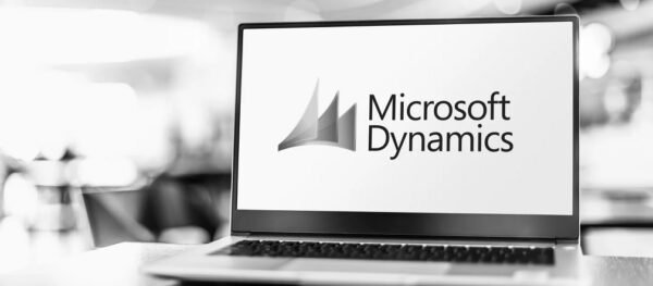 Top Microsoft Dynamics Partners in the United States: Driving Digital Transformation