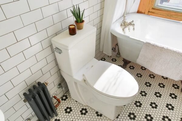 The Pros and Cons of Wall-Mounted and Floor-Mounted Toilets